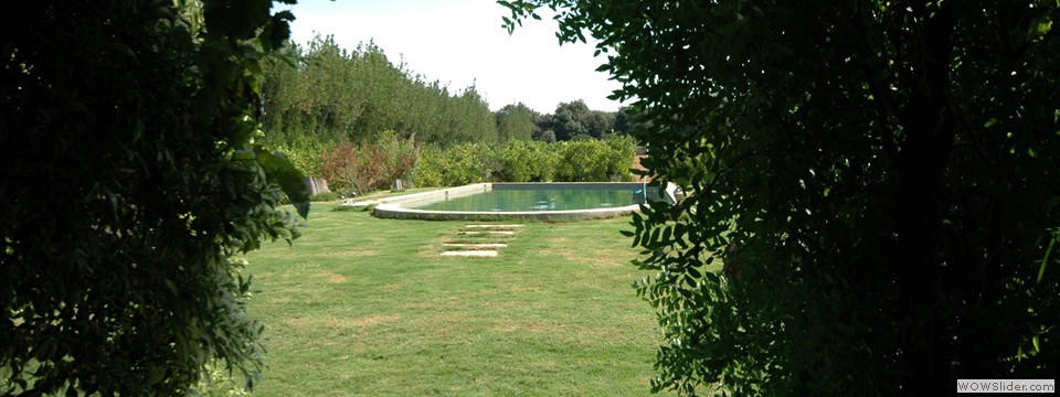 vista piscina  - casa rural mallorca